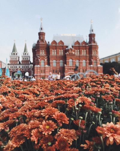 Witcher oyini qizlar bilan jinsiy aloqa