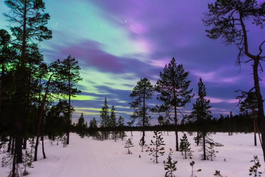 northern lights wilderness tour