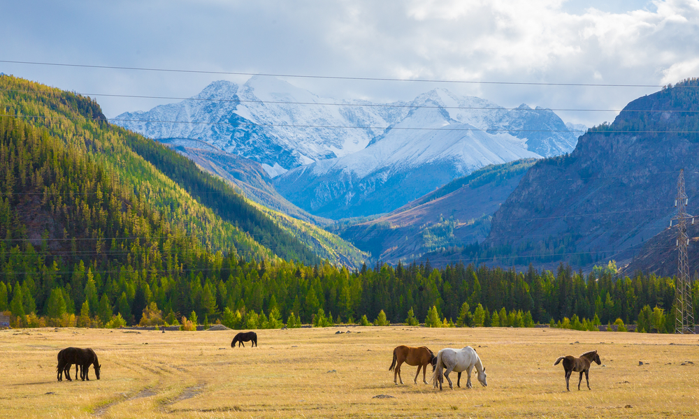 The Altai Mountains Siberian Switzerland